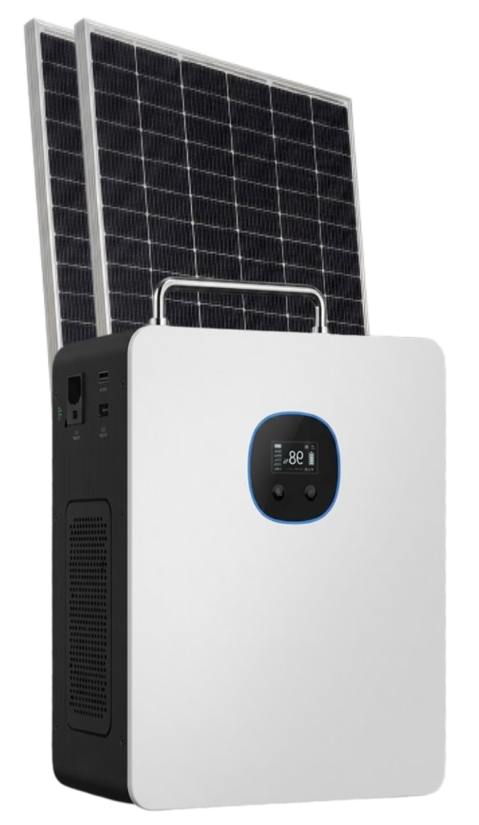 Option 4 - PEW 1KW Solar Inverter